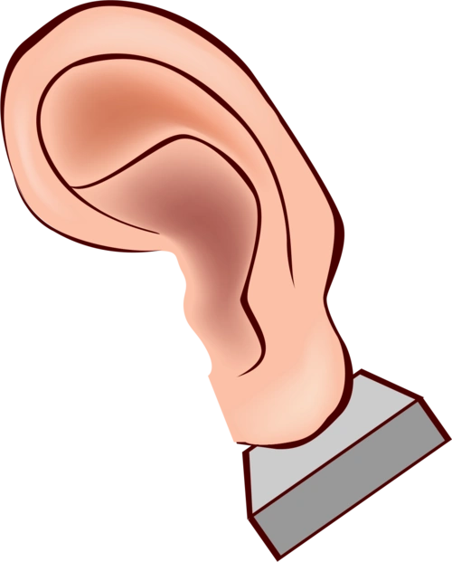 耳朵卡通图片大全