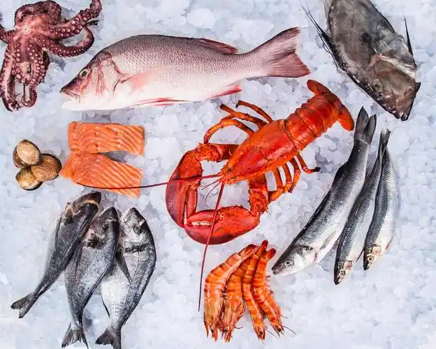 海鲜冰块图片