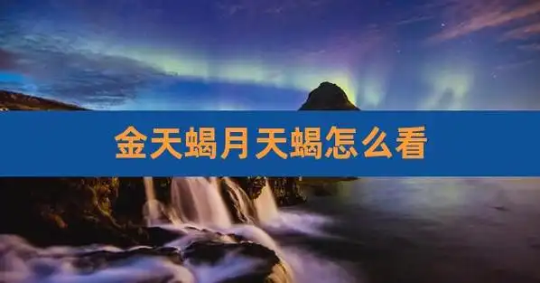 金天蝎月天蝎怎么看