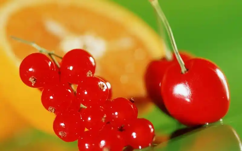 水果图片壁纸-花卉壁纸-高清花卉图片-第12图-娟娟壁纸