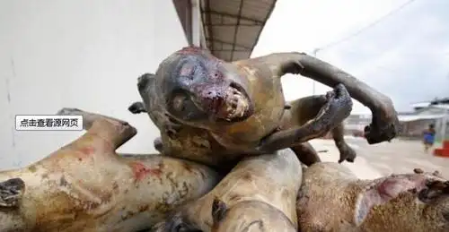 看完非洲街边这些小吃,他们还敢吃吗|小吃|蝙蝠|碳烤_新浪新闻