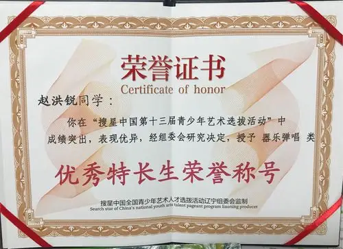 赵洪锐2017"桃李杯"参赛纪实