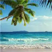 大海美景头像热门碧蓝大海风景高清头像图片点击鼠标右键下载