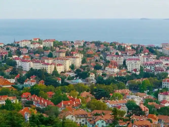 易烊千玺《送你一朵小红花》取景的青岛,藏了太多本地人才知道的宝藏