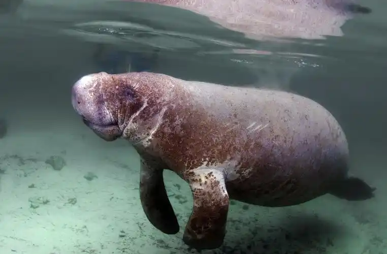 海水图片_海水图片大全_全景图片