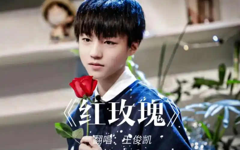 20141219王俊凯《红玫瑰》