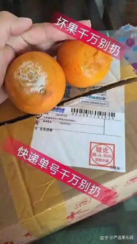 五月份了,全国有哪些好吃的应季水果适合北方人网购?