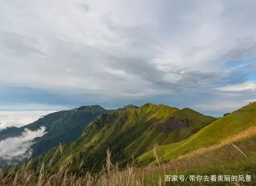 徒步武功山,高山草甸美不胜收
