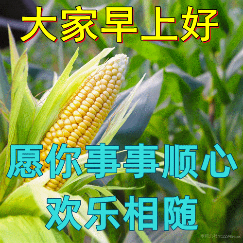 3月24日最漂亮的早上好动态表情图片大全早上好问候语句子