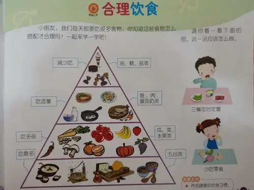 2.健康《合理饮食》