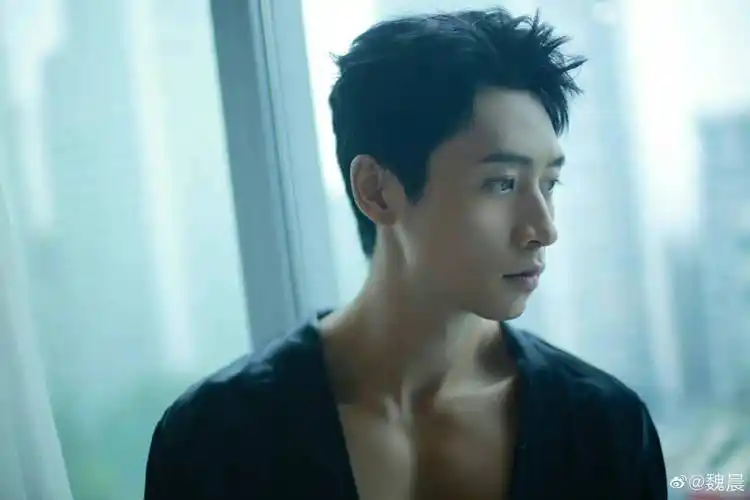 魏晨晒健身照这背部肌肉也太绝了吧