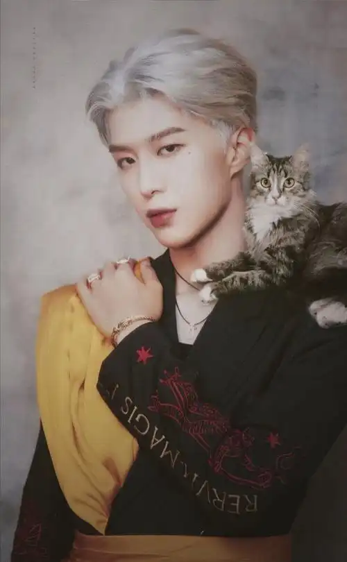 百分九 - 堆糖,美图壁纸兴趣社区