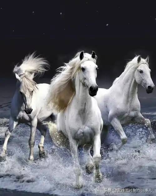 壁纸美图,祝您2022年马到成功