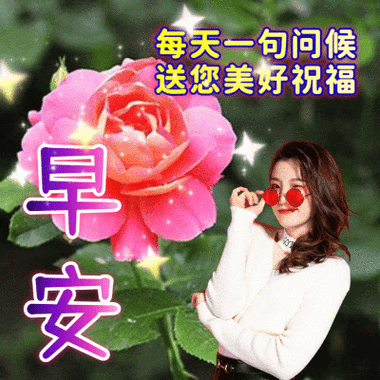 早上好祝福图片动态表情图片暖心早安问候动画表情包