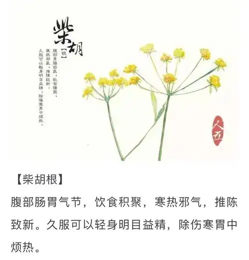 东方明珠的美篇