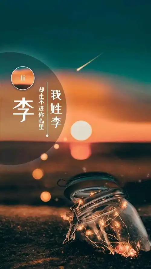 我姓李却走不进你心里