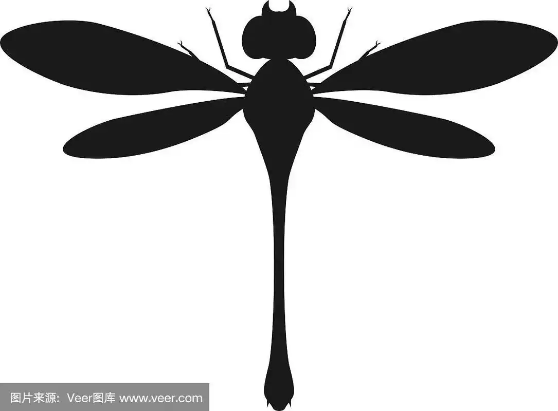 黑色剪影的卡通成年蜻蜓在白色的背景