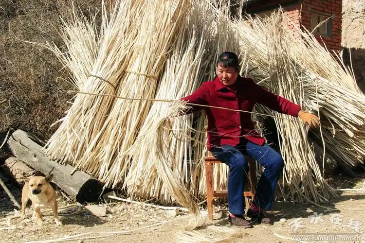 马鹿乡的群众在剥麻皮