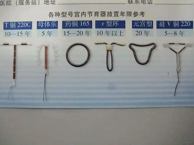 女明星参观节育环博物馆品类繁多超40种背后是女人的不幸