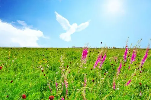 五花草甸 滦河神韵
