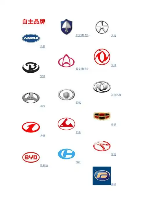 车牌标志自主品牌