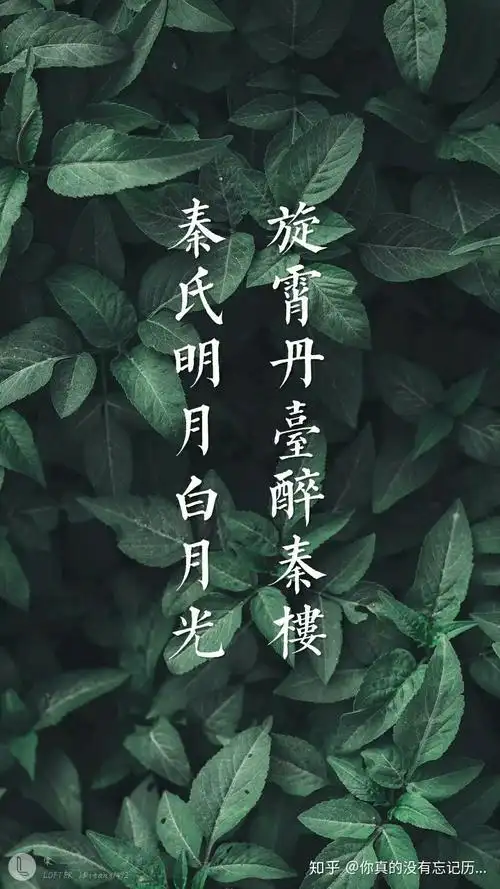 有没有秦霄贤的壁纸