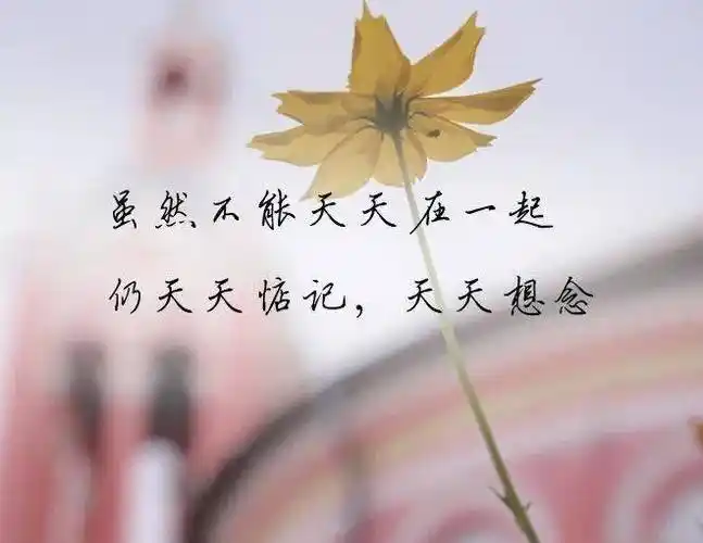 爱得深不如爱的真,爱得真不如爱得久_感情_才能_承诺