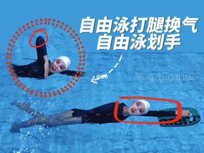 换气自由泳腿2.