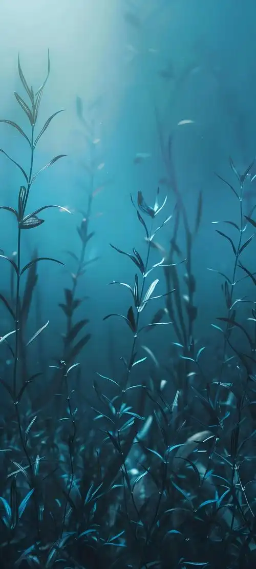 1080_2395竖版 竖屏