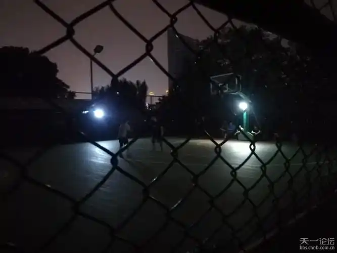 [党校][教育]体育局领导看看篮球场的"小强"们,有何想法?