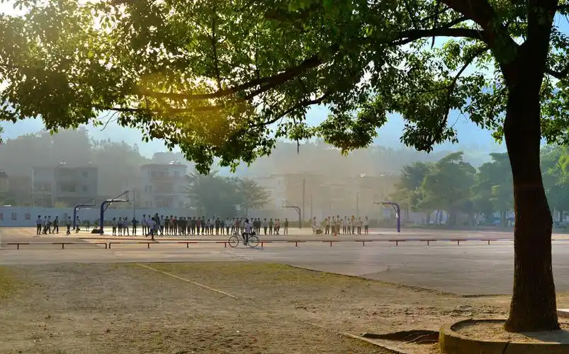 光影下的校园,这不就是我们的青春么