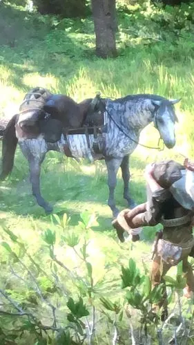 亚瑟能骑狐步马吗ps4版本