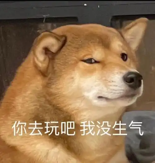 我生气了#表情包