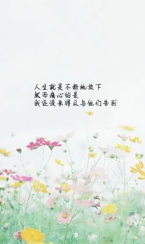 带文字的图片情感因为喜欢所以情愿