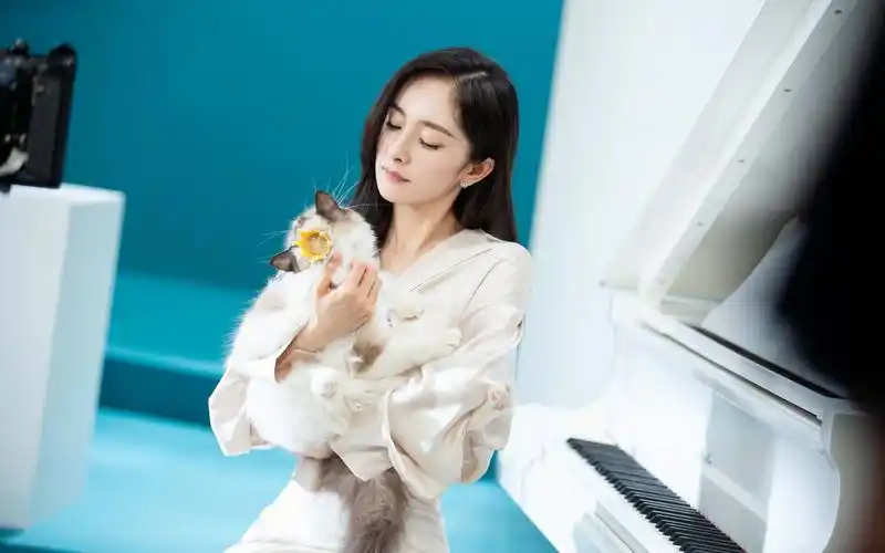 【杨幂】2021金稻新品负离子直发梳广告