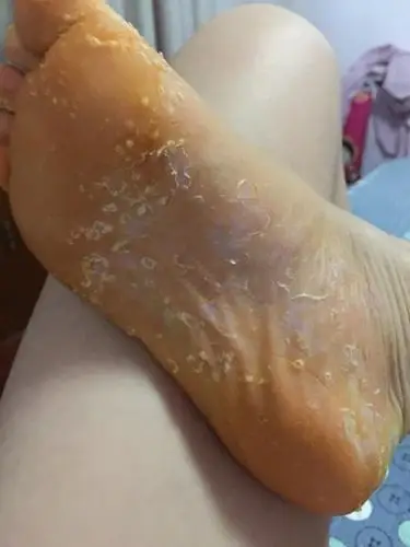 申哥臭脚中华演出网博客