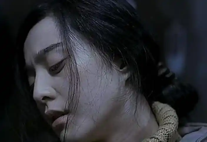 范冰冰青苹果-范冰冰青苹果,范冰冰,青苹果