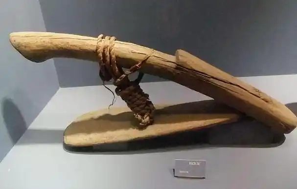 人类的农业生产历程经历了漫长的进化过程,从原始的手工耕作到现代化