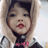 权律二动态表情包gif图