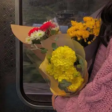 女生捧花部位头像高清好看的女生捧花部位唯美头像图片