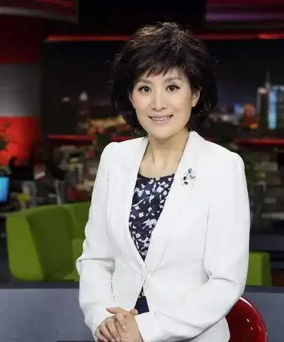 上海东方卫视美女主播何婕|主播台_网易订阅