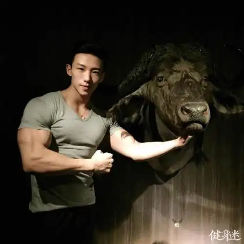 中国台湾健身肌肉男模mars刘翔肌肉照片