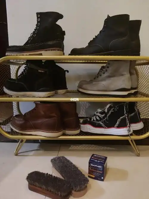 擦靴子红翼redwing