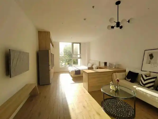 国展地铁领航雅苑45平大开间底价3400