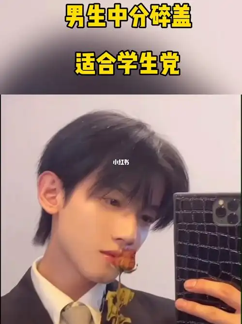 男生发型微中分碎盖