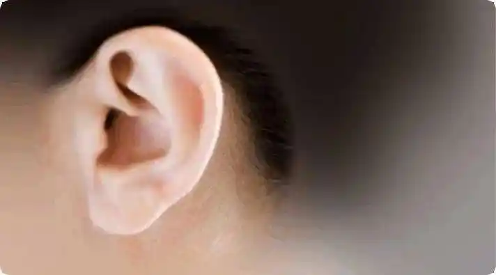 从耳朵看吉凶,快来对照吧~_耳垂_耳廓_水耳