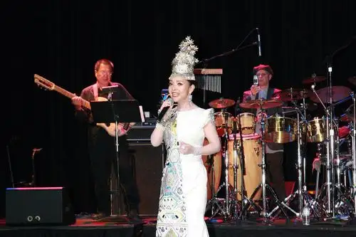 湖北歌手陈涓演唱会轰动美国内华达州