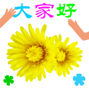 中老年表情包分享 中老年表情包图片大全