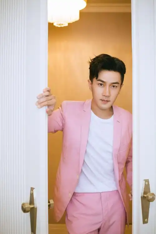 刘恺威粉色西装帅气活动照图片