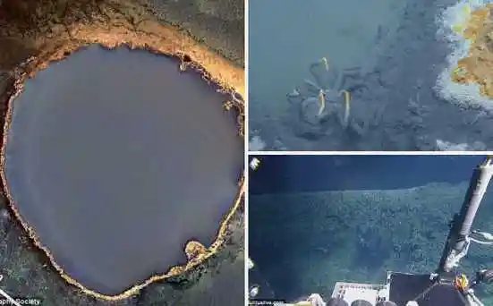 研究人员去年在墨西哥海湾海底发现了一个大型盐卤池,周长30米,深3